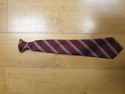 THE KINGS SCHOOL TIE