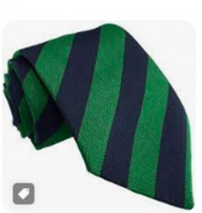 NORTHFIELD PRIMARY SCHOOL CLIP ON TIE