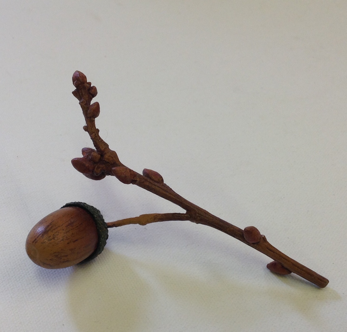 TWIG WITH ONE ACORN
