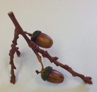 BRANCH WITH TWO ACORNS