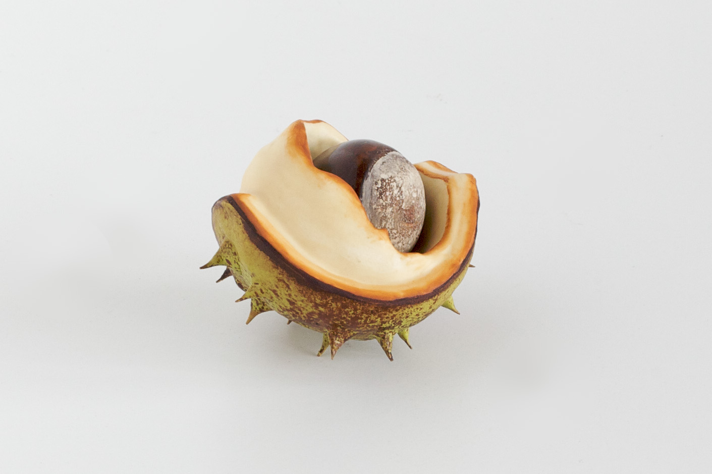 Lid & Removable nut (no stalk)