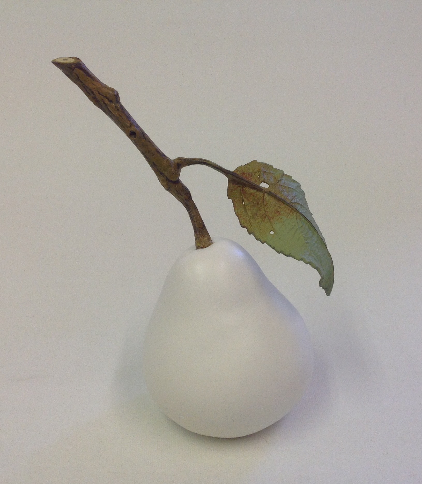 Windfall Pear with small twig & one leaf