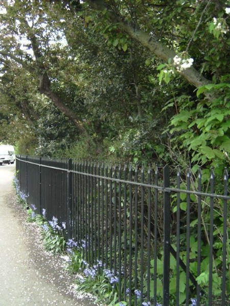 Regents Park London.