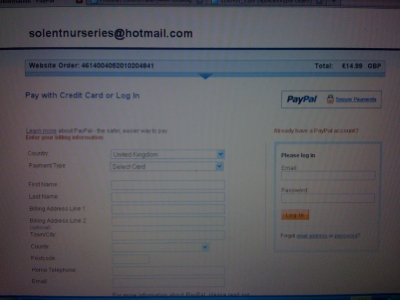 Paypal payment page