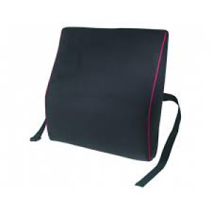 Harley Designer Spine Support