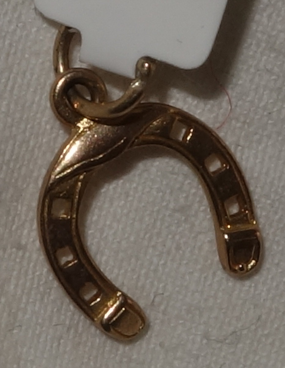 Charm 9ct horseshoe