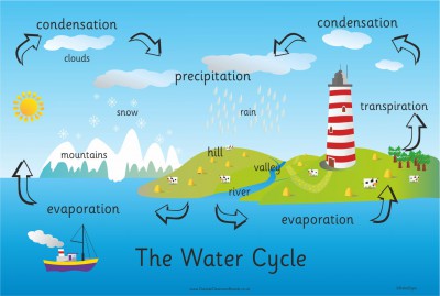 THE WATER CYCLE