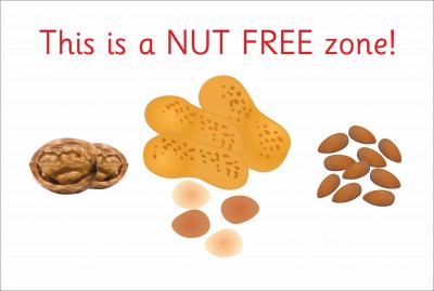 SAFETY SIGN - NUT FREE ZONE