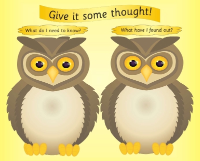THOUGHTS - INVESTIGATION DRY/WIPE BOARD - WRITE ON WISE OWLS