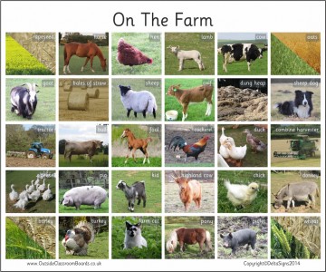 ON THE FARM - PHOTOGRAPHIC BOARD