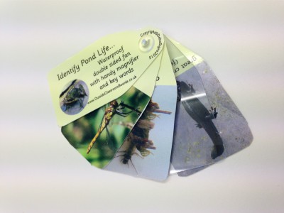 POND LIFE NATURE FAN WITH MAGNIFIER
