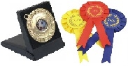 Medal and rosettes