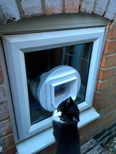 cat flap fitters Birmingham