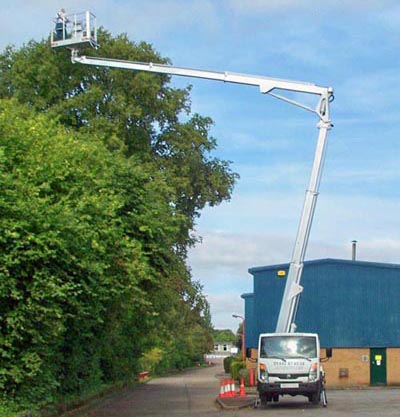 MULTITEL MX225 ON TREE WORK