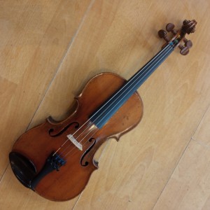 Violin  1/2 size Companion