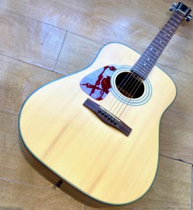 Left Handed Fender Acoustic DG-14SLB