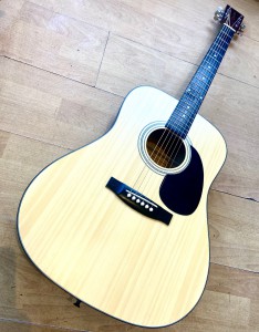 Tanglewood Dreadnought TW28483