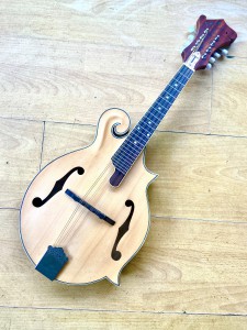 Locally Made Mandolin  F style Bluegrass Archtop by Moonshine Jay