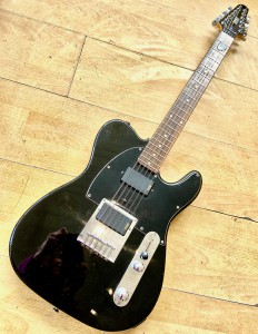 Hohner Professional E Custom XII 12 string electric guitar