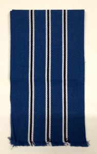 Ashfield Girls Scarf