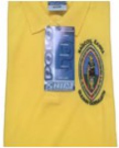 Naiscoil Eanna Nursery Polo