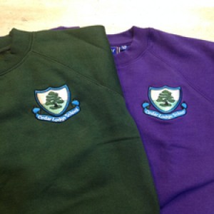 Cedar Primary Sweatshirt