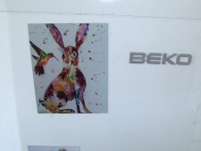 Hare and hummingvird