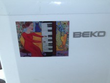 Eccentric Cat woman and her piano plus her spotty cats