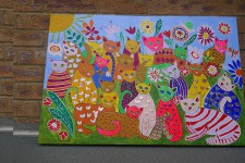Colourful Cat Heaven