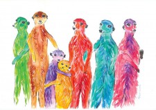 Colourful Meercats