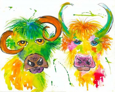 Quirky Colourful Highland Bulls