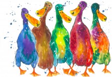 Quackers, Quirky Colourful  Ducks