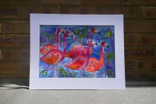 Colourful Orange Flamingos