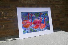 Colourful Orange Flamingos