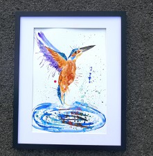 Kingfisher in flight