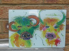 Colourful quirky Highland Cows