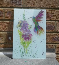 Humming bird, bumble bee and foxglove