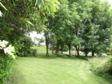 Children's play area through trees