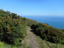Coastal path near Amroth